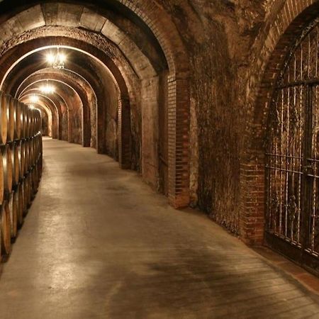 Alojamiento Centrico La Buganvilla Aranda de Duero Esterno foto