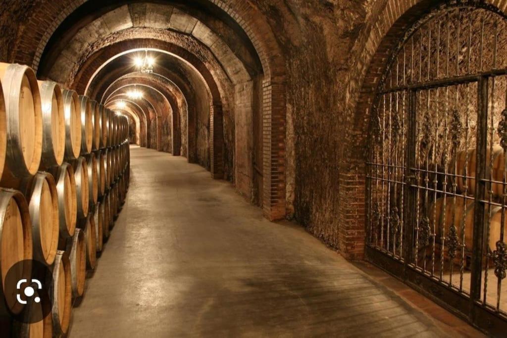 Alojamiento Centrico La Buganvilla Aranda de Duero Esterno foto
